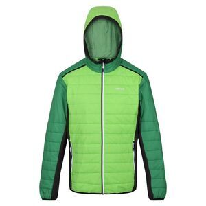 Regatta Mens Trutton II Baffled Padded Jacket / Jasmine Green/Field Green